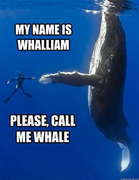 funny whale memes